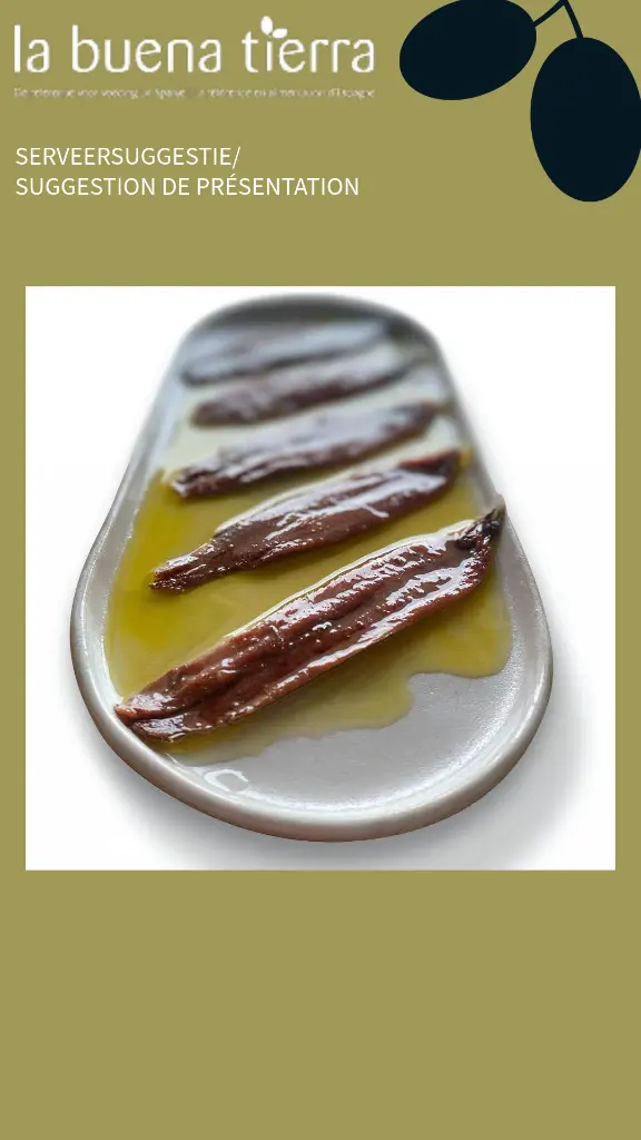 template website serveersuggestie horizontaal-1 (3).webp