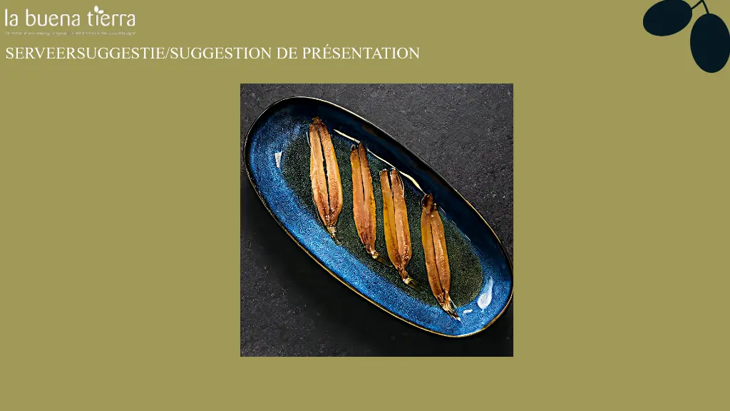 template website serveersuggestie horizontaal-2 (8).webp