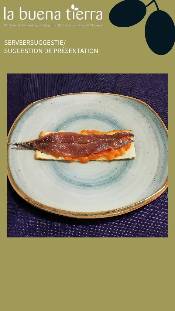 template website serveersuggestie horizontaal-1 (5).webp