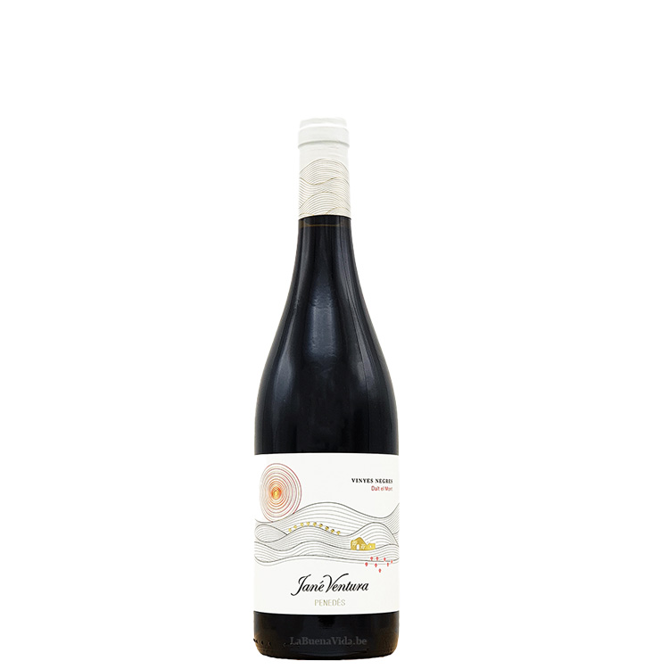 Jané Ventura, Vinyes Negres 2021