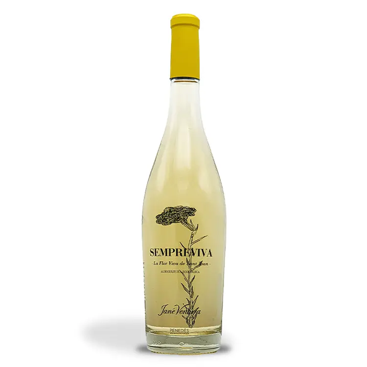 Jané Ventura, Sempreviva 2024