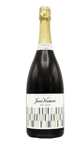 [LBV89] Jané Ventura, Cava Reserva de la Música 2020- Magnum (1,5 l)