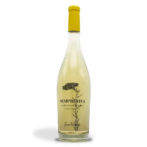 [11079] Jané Ventura, Sempreviva 2024