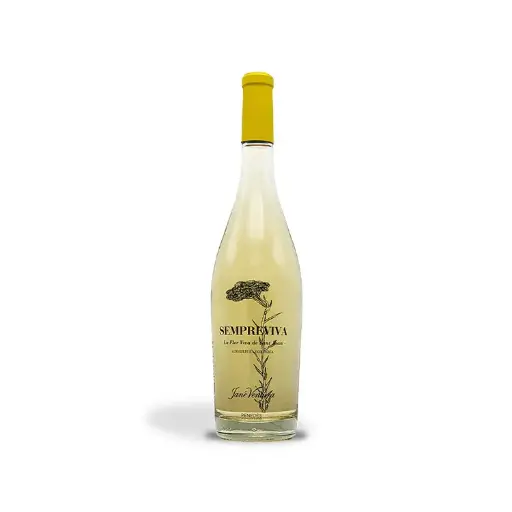 [LBV136] Jané Ventura, Sempreviva 2024